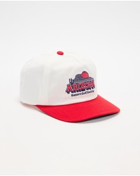 Birds of Condor - Arizona Snapback