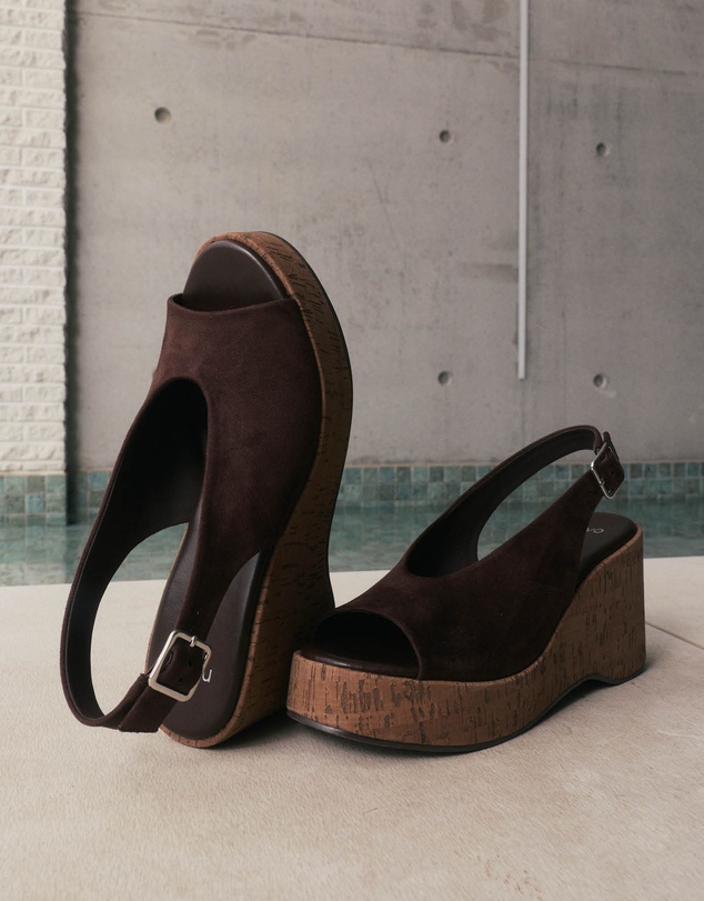 Novo - Belief Wedges