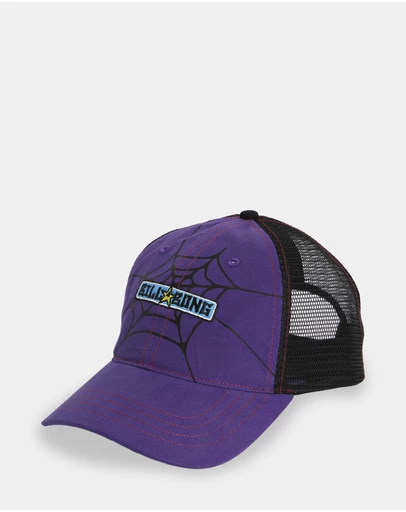 Billabong - Mens Web Trucker Cap