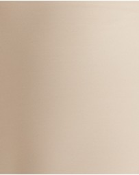 Cupid Fine Shapewear - Sleek Essentials Ultra High Waist Shaper Short