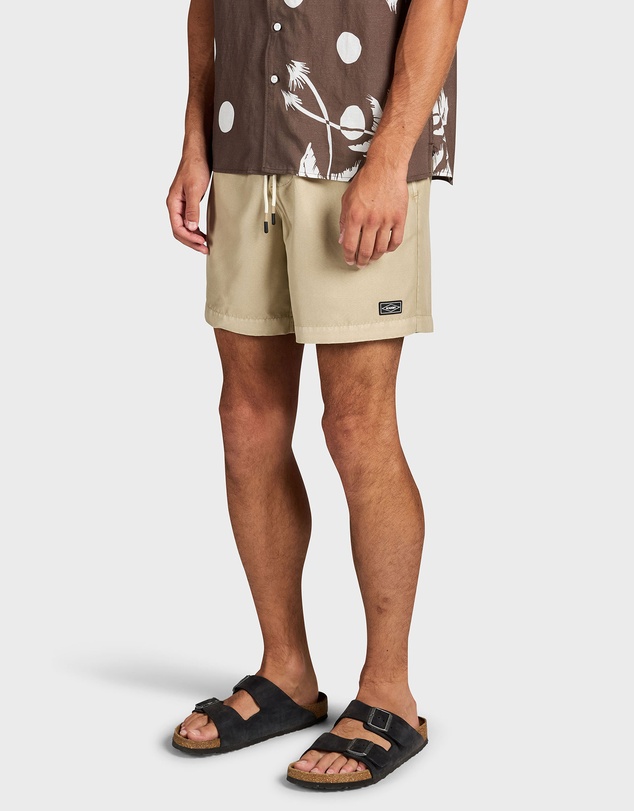 Academy Brand - Teamster Boardy