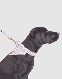 Mog & Bone - Dog Banadana - Latte Mosaic Print