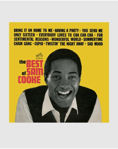 Sony Music - Sam Cooke The Best Of Sam Cooke Vinyl Album