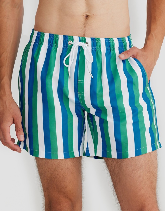 Vacay Swimwear - Toronto Swim Shorts