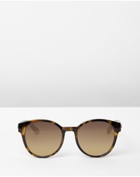 Le Specs - Paramount