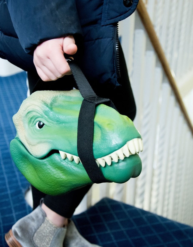 Suck UK - Dino Case