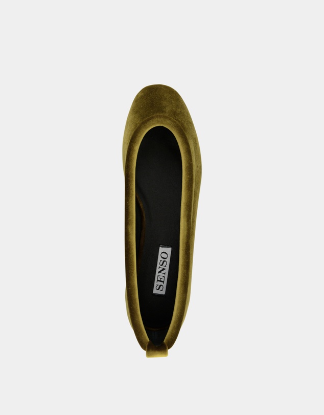 Senso - Delphine