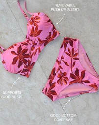 Nip Tuck Swim - Solstice Doris Band Bikini Pant
