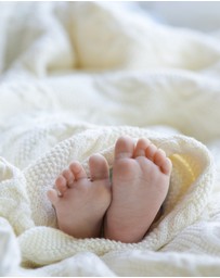 Toshi - Organic Blanket Bowie
