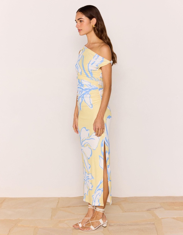 MINKPINK - Esme Asym Mesh Maxi Dress