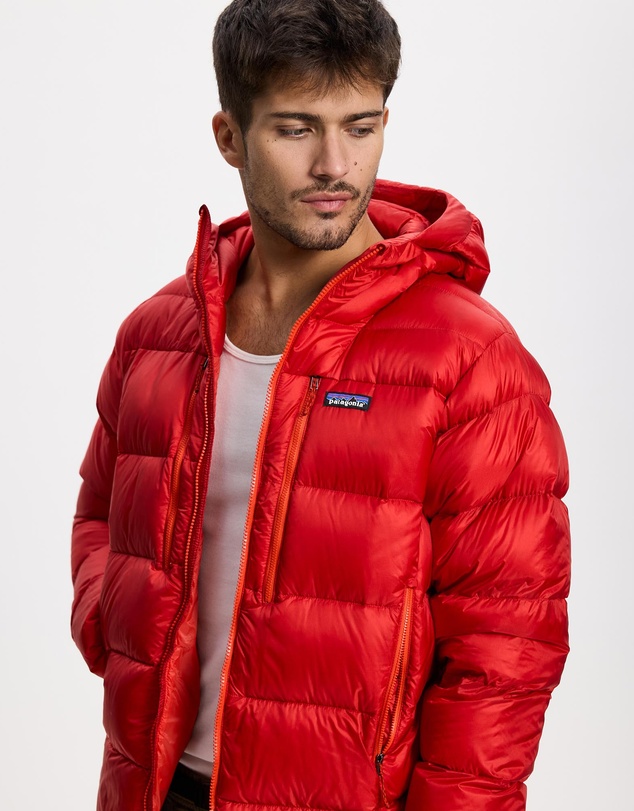 Patagonia - Fitz Roy Down Hoody