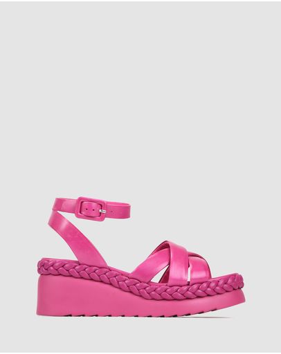 Fuchsia