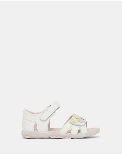 White Multi