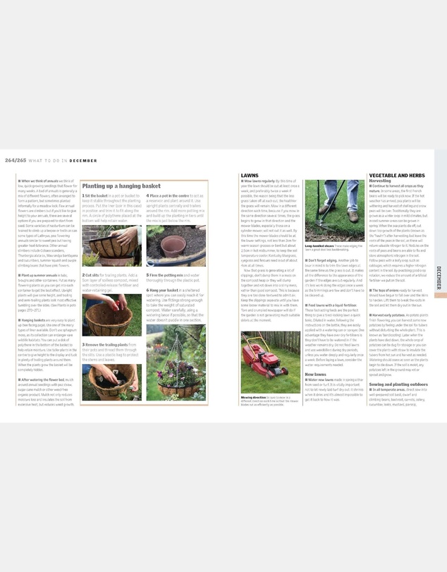 Brumby Sunstate - Gardening Through the Year in Australia