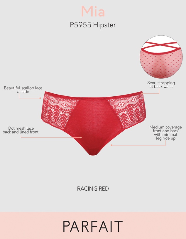 Parfait - Mia Sheer Mesh & Lace Hipster Brief