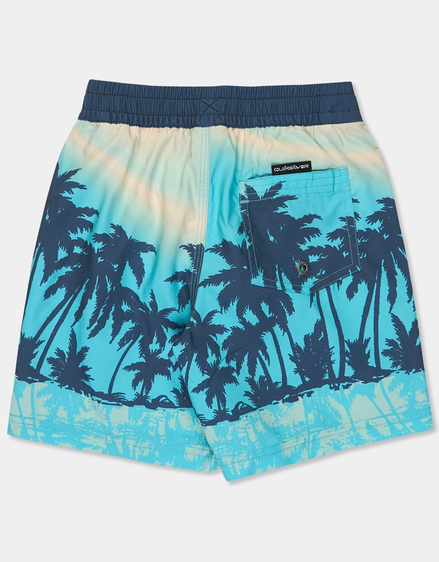 Quiksilver - Boys 2 to 7 Everyday Printed 13