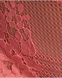 Passionata - Nina High Leg Brazilian Cut Lace Brief