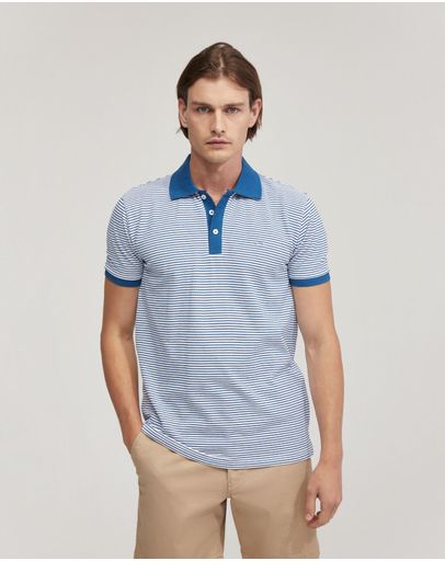 Blue Stripe