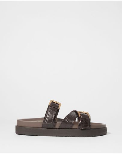 Brown Croco