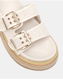 Novo - Samaira Slides
