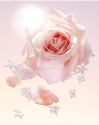 Lancome - Idôle EDP 25ml