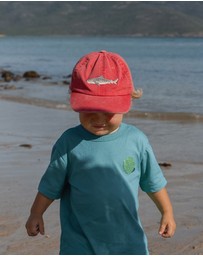Pallion Point - Kids Tiger Shark Fish Lid