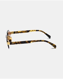 AM Eyewear - Sangha