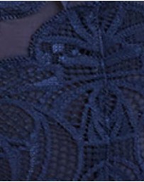 Sans Complexe - Ariane Lace Brazilian Cut Brief