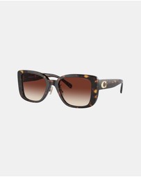 Coach - CD472