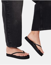 Tkees - Lily Platform
