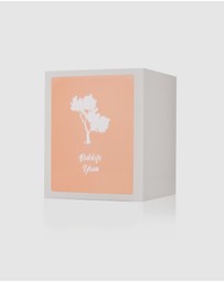 Silk Oil of Morocco - Bubble Yum Luxe Natural Soy Candle