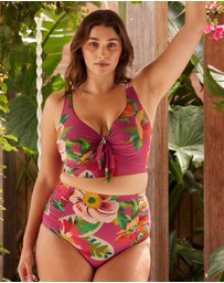 Artesands - Le Recife Cezanne D/DD Underwire Midriff Bikini Top