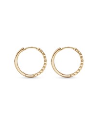 Michael Hill - Huggie Earrings in 10kt Yellow Gold