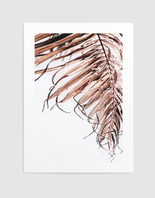 Olive et Oriel - Golden Palm II Art Print