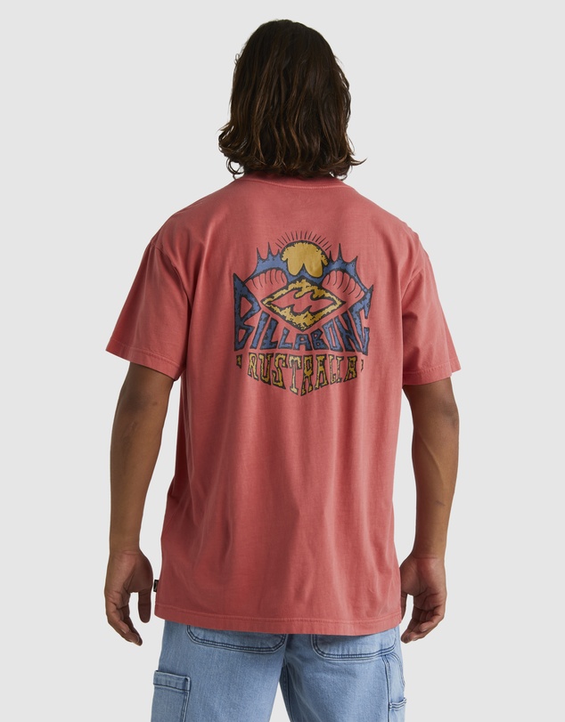 Billabong - Mens Homegrown T-Shirt