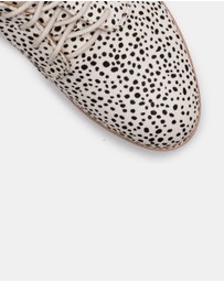 Rollie - Derby Shoe