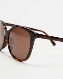 Coach - 0HC8271U