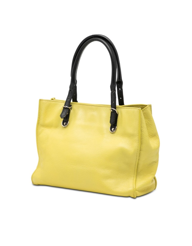 Pre-Loved by Azura Reborn - Pre-Loved Mini Bicolor Leather Papier A4 Zip Around Tote
