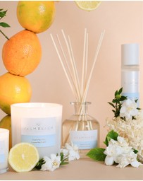 Palm Beach Collection - Yuzu & Sea Moss Reed Diffuser 250ml