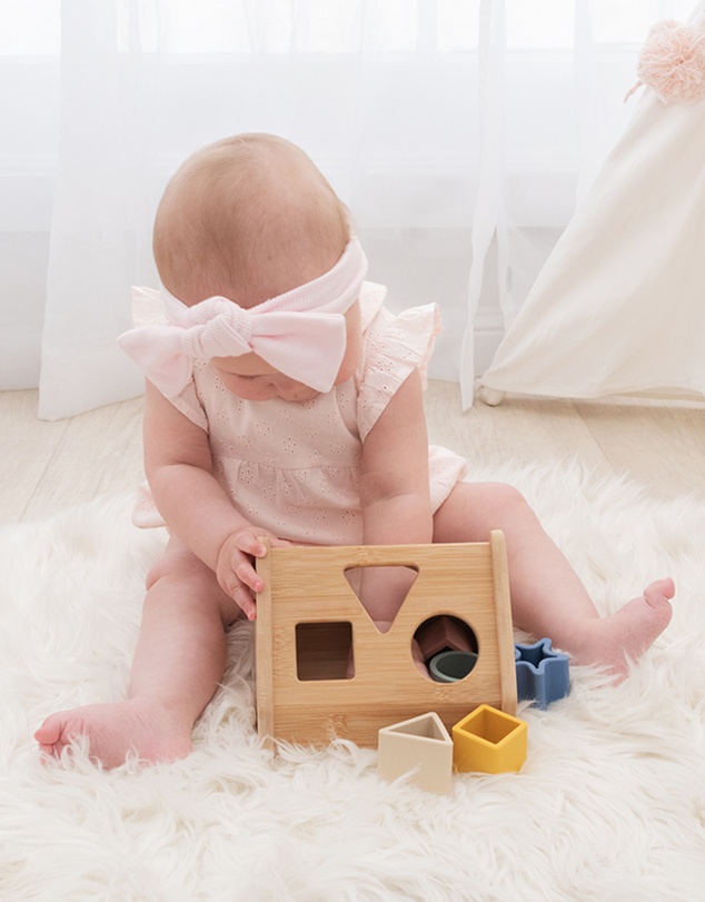 Playground - House Shape Sorter