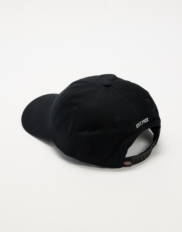 Dickies - Hardwick