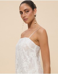 CHANCERY - Sierra Sheer Lace Mini Dress