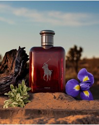 Polo Ralph Lauren - Polo Red Parfum 125ml
