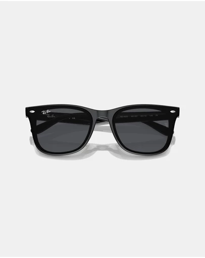 Ray-Ban - 0RB4420