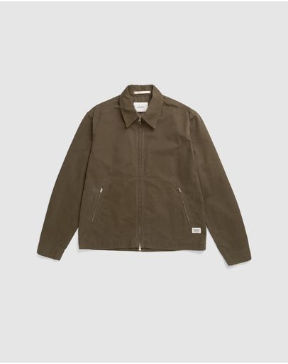 Olive Night