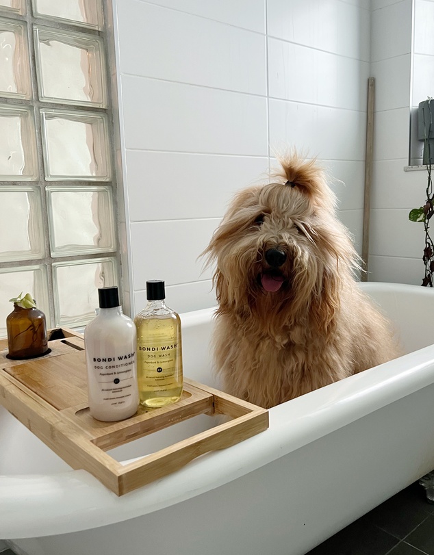 Bondi Wash - Dog Pamper Duo - Paperbark & Lemongrass