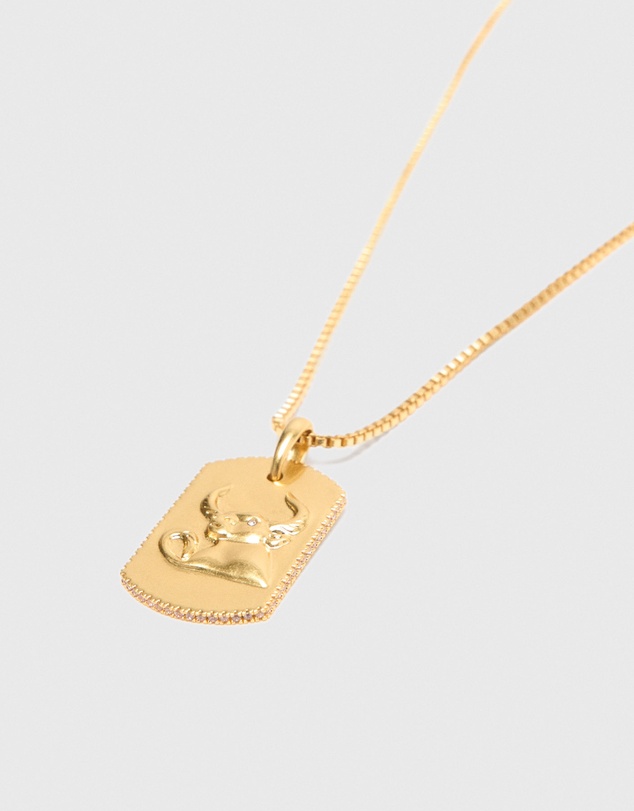 Maje - Astro Plaque Necklace