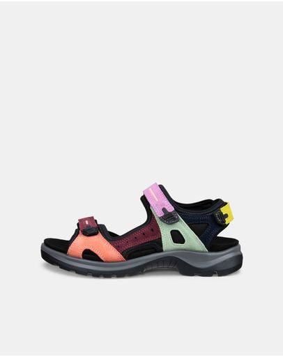 MULTICOLOR