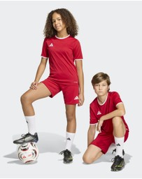 adidas Performance - Entrada26 Football Shorts Kids