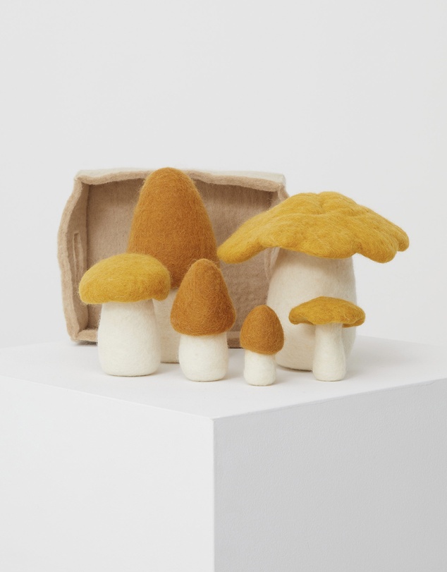 Phile - Crate of Mushrooms